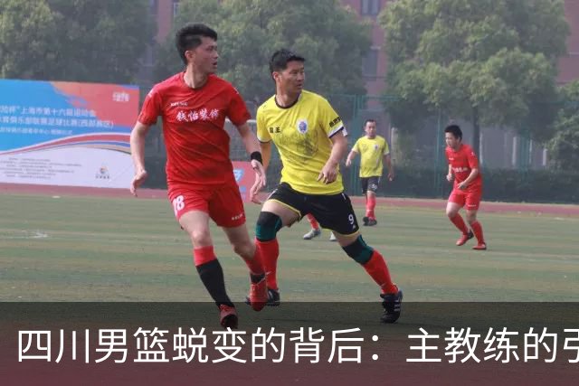 四川男篮蜕变的背后：主教练的引领与薪资保障